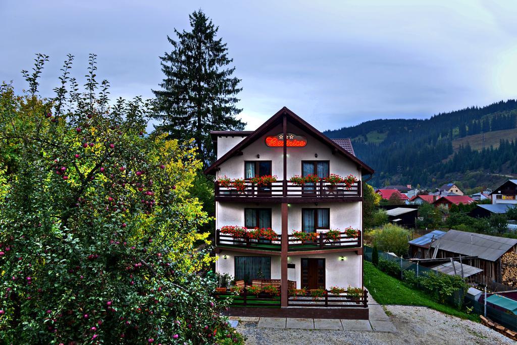 Pensiunea Beatrice Hotel Vatra Dornei Exterior foto