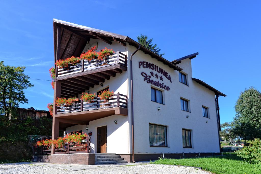 Pensiunea Beatrice Hotel Vatra Dornei Exterior foto